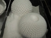 dscn1691